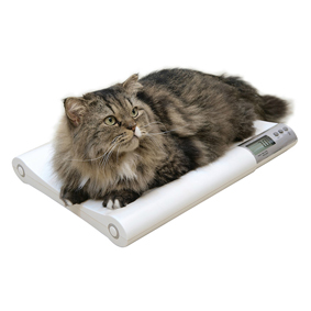 MS 2410 動(dòng)物秤